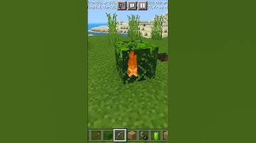 Minecraft Weird Logic that actually make no sense  ( Part - 2 ) #Shorts