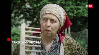 Prázdniny pro psa