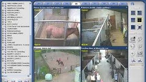 CCTV Software Solutions Provider Developer Designer Programmer Consultant Analyst Offer