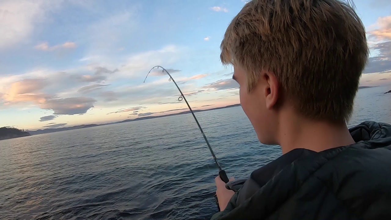Flathead fishing Kingston Beach cliffs Flathead fishing Tasmania