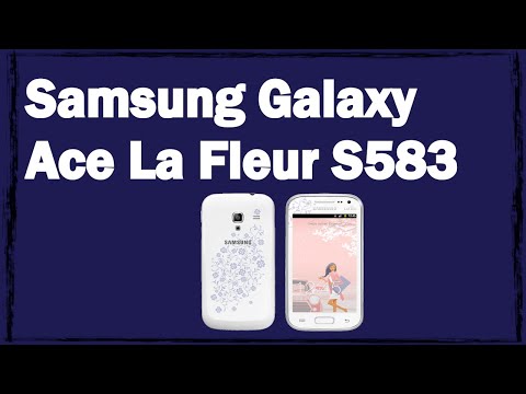 Технические характеристики Samsung Galaxy Ace La Fleur S5830 и цены