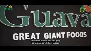 Profile PT.GREAT GIANT PINEAPPLE (GGP)