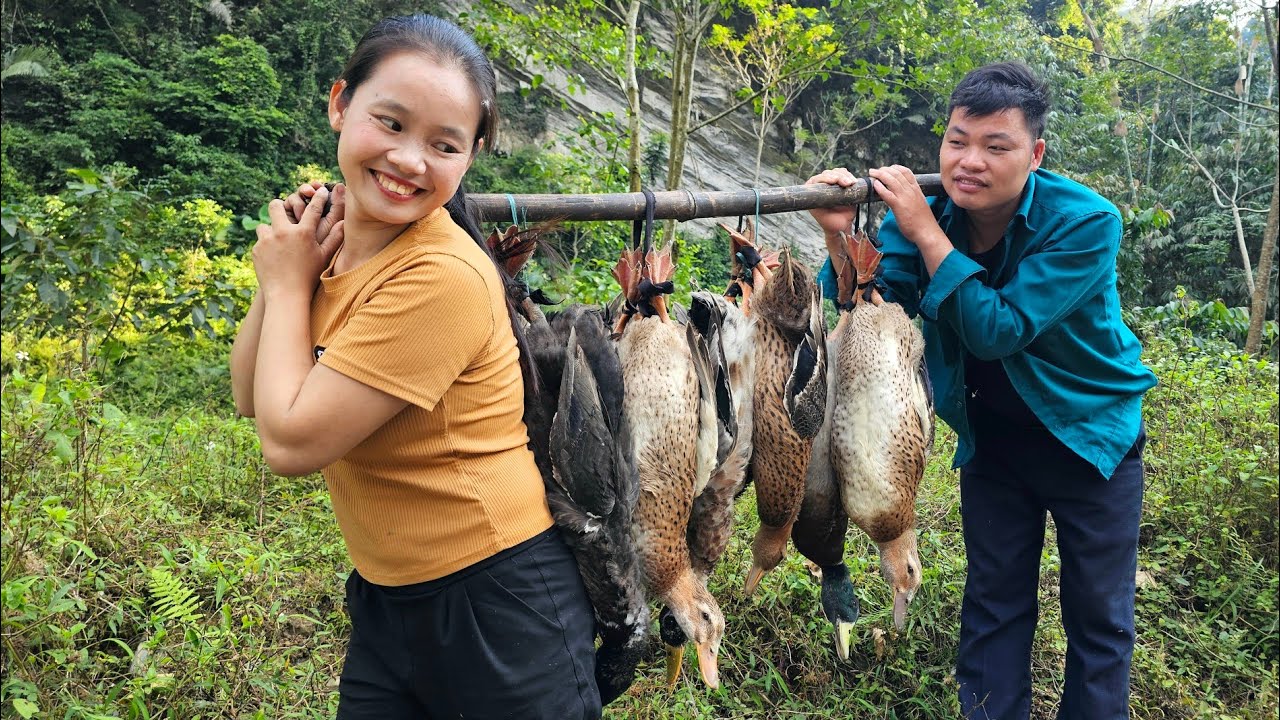 How to catch ducks and bring them back to the village to sell l Lý Thị Sai