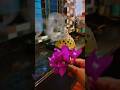 Mini vlog#A day in My Life During Navratri#navratri bhog#Durga puja#Festival #Ytshorts
