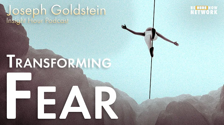 Joseph Goldstein on Transforming Fear - Insight Hour Ep. 143