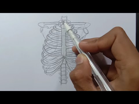 Video: Cara Membuat Gambar Sistem