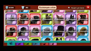 Все собаки в Dog Town screenshot 2