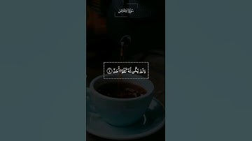 محمد هشام (سورة الإخلاص)