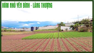 Dalat situation today - Peaceful small slums of Thuong Village, Lu Gia and Valley of Love