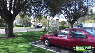 Heavenly Greens Artificial Turf Systems – Greenpointe Apartments