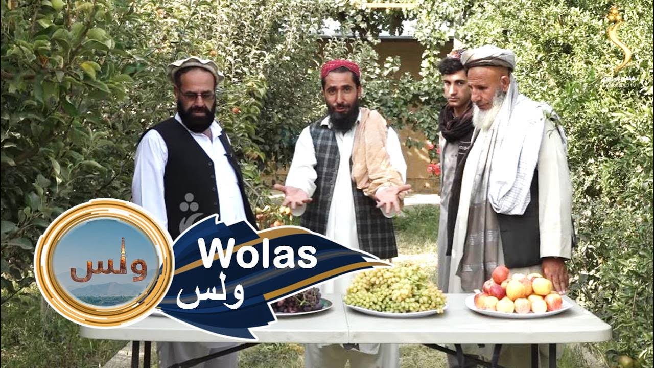 Wolas , Qarabagh, Kabul - EP 74 - 02.10.2023 |  ولس -  د کابل قره باغ  ولسوالۍ ښوونځي او کرنیز توکي