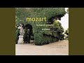 Miniature de la vidéo de la chanson Piano Concerto No. 19 In F Major, K. 459: Allegretto