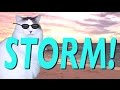 HAPPY BIRTHDAY STORM! - EPIC CAT Happy Birthday Song