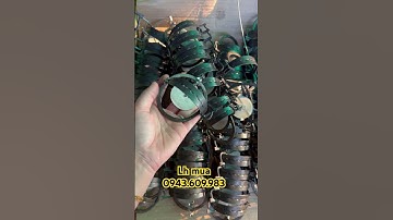 Cạm 9 đánh chuột đồng chuột thịt siêu hiệu quả