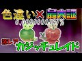【超確率神色違いレイド】🎁色違い・最大証カジッチュ配布 進化するとカミッチュに SHINY RAIDS【ポケモン剣盾】