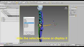 Hide Bone Tool(3ds Max)