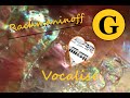 Rachmaninoff  vocalise  notredame de paris   op 34 no14  arrangement flte et orgue   1983