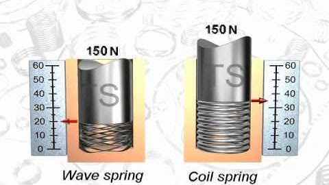 Wave spring & Coil spring