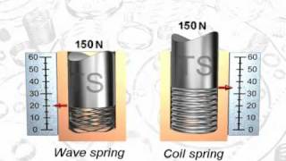 Wave spring & Coil spring Net Worth