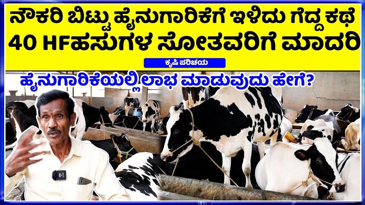 EP-01 ಹೈನುಗಾರಿಕೆಯಲ್ಲಿ ಕ್ರಾಂತಿ ಮಾಡಿದ ರೈತನ ಸಂದರ್ಶನ. || Dairy farming information