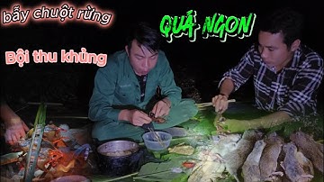 2 ngày đêm bẫy chuột rừng bội thu khủng #2 days and nights of trapping wild rats with a huge harvest