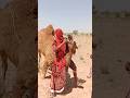لحظات مدهشة لرقص الجمل مع فتاة