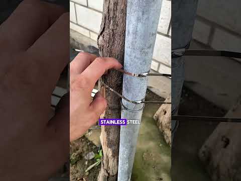 Multipurpose Self-Locking Stainless Steel Zip Tie