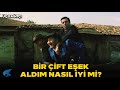 Üç Kağıtçı Türk Filmi | Satılmış Ağa ile Sabri Eşek Oluyor!