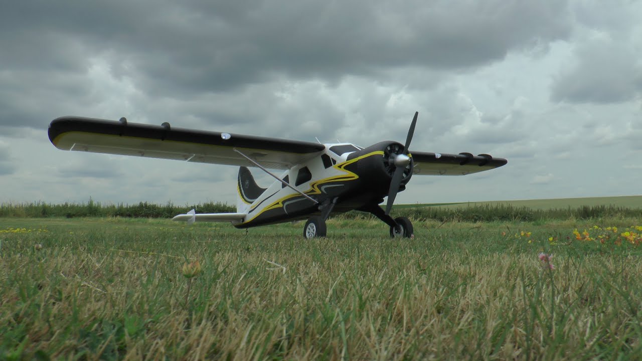 Ecolage Beaver PNP FMS & vol tandem A -10