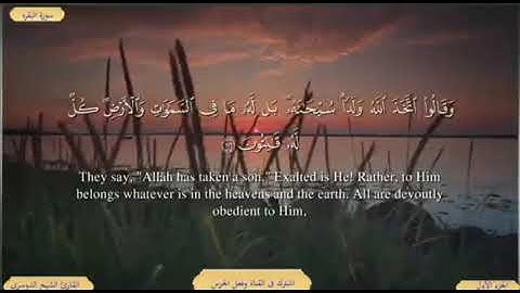 سورة البقرة من الاية ( 113 ) الى الاية ( 119 ) مكررة للحفظ بصوت ( ياسر الدوسري )