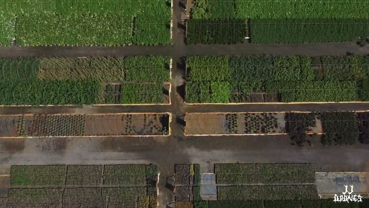 JJ Drones: Goodmark Nursery