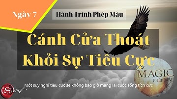 #Ngày7 Cánh Cửa Thoát Khỏi Sự Tiêu Cực | Hành Trình Phép Màu | The Magic