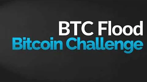 BTCFlood Bitcoin Challenge (English)