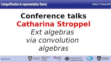 Catharina Stroppel - Ext algebras via convolution algebras