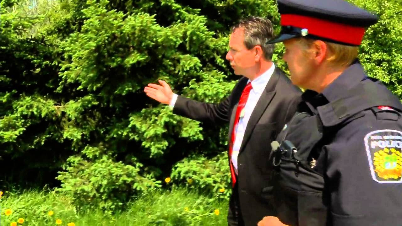 Sexual Assault Suspect Sought - YouTube