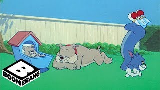 Tom and Jerry | Twinkle Toes | Boomerang Official