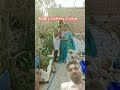 bhabhi ji battery charge kar do Tumhari #comedy #whowillbemylifepartnerta #paisayenyasathiupay