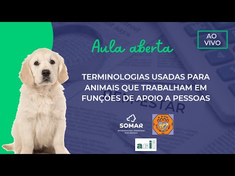 Vídeo: Dê uma mordida no nosso Concurso da Semana do Tubarão