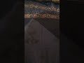 bluetooth connected ai