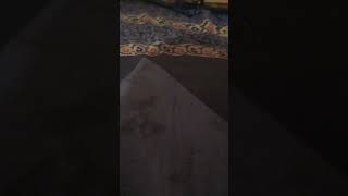 bluetooth connected ai