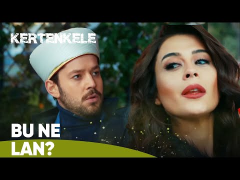 Murat'ın güzellik karşısında dibi düştü! - Kertenkele 83. Bölüm