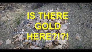 Metal Detecting Chunky Gold