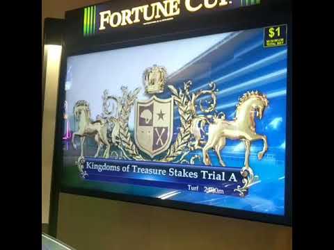 WE WENT DEGENERATE ON MEGAWAYS SLOTS!