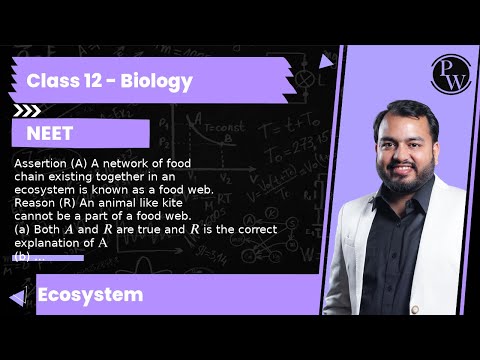 Assertion A A network of food chain existing together in an ecosystem is known as a food web R