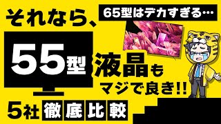 【2023年版】55型最上位モデル比較！液晶テレビおすすめはどこだ？【選ぶ時のポイントも解説】