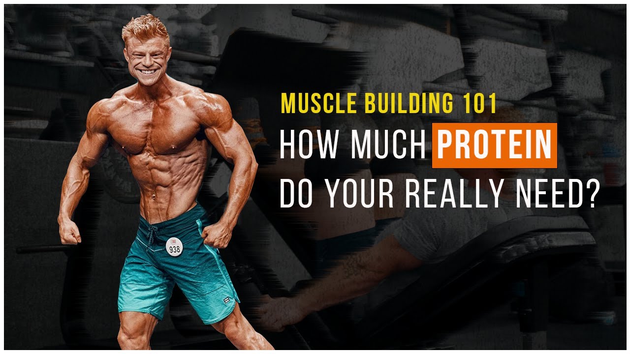 how-much-protein-do-you-need-bodybuilding-101-youtube