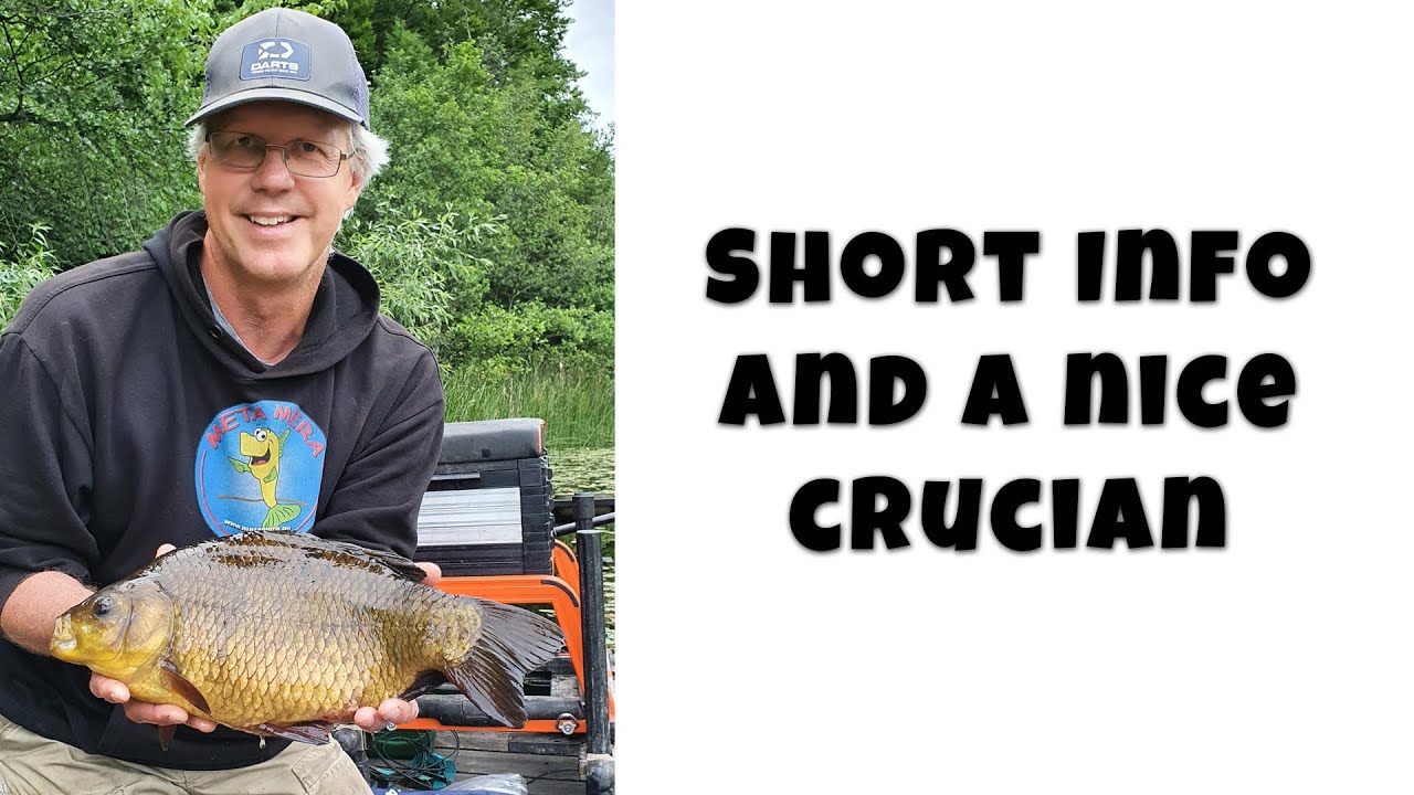 Info about what I'm doing (and a 4lbs crucian carp) 