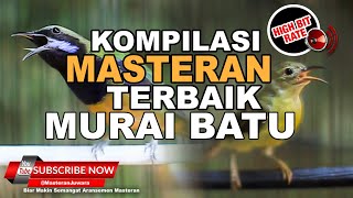 Kompilasi Masteran Segala Macam Burung Juara Kolibri Manggar vs Cucak Cungkok Gacor VIRAL 2023