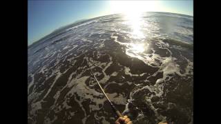 Snook fishing, El salvador