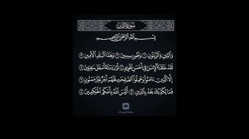 والتين والزيتون #سورة_التين #جزء_عم #ماهر_المعيقلي #حالات_واتس_قرآن #إسلاميات #اكسبلور #خشوع